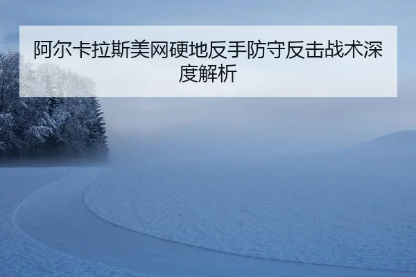 a-er-ka-la-si-mei-wang-ying-di-fan-shou-fang-shou-fan-ji-zhan-shu-shen-du-jie-xi-3-458.jpg