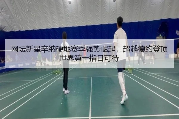 wang-tan-xin-xing-xin-na-ying-di-sai-ji-qiang-shi-jue-qi-chao-yue-de-yue-deng-ding-shi-jie-di-yi-zhi-ri-ke-dai-2-983.jpg