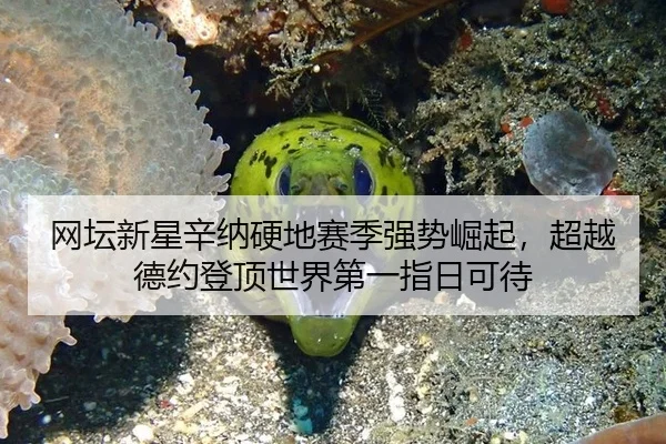 wang-tan-xin-xing-xin-na-ying-di-sai-ji-qiang-shi-jue-qi-chao-yue-de-yue-deng-ding-shi-jie-di-yi-zhi-ri-ke-dai-3-883.jpg