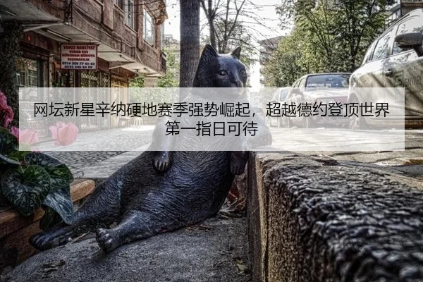 网坛新星辛纳硬地赛季强势崛起，超越德约登顶世界第一指日可待